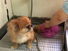 -宠颐生动物医院·小陆分院