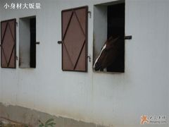 -松声马术俱乐部