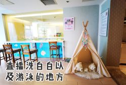 -月来悦好国际月子会所