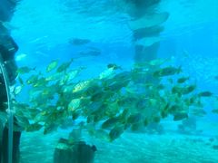 -北戴河圣蓝海洋公园