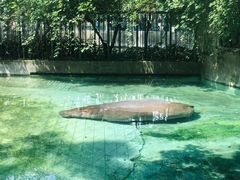 -成都动物园