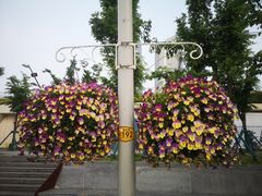 -南京眼步行桥