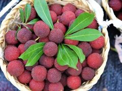 -东山风景区(洞庭东山)