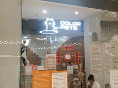 -COLOR PETS 撸猫馆·购猫·猫咖(长风大悦城店)