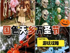 -国色天乡三期陆地乐园