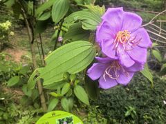 -广州神农草堂中医药博物馆