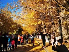 -辽宁大学(崇山校区)