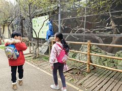 -昆明动物园