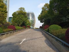 -北外滩滨江绿地