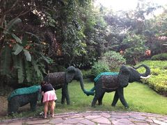 -西双版纳融创皇冠假日度假酒店