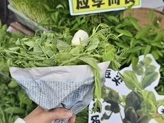 -赵美丽·重庆社区火锅·直营店(火车东站·中豪国际店)