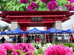 -曹州百花园