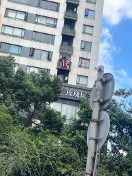 -上海玫瑰医疗美容医院