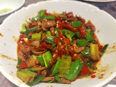 -壹盏灯(惠农店)