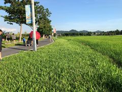 -光明小镇欢乐田园