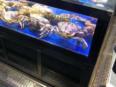 -盒马X会员店(王府井奥莱UP TOWN店)