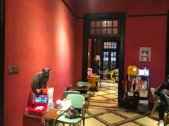 -猫色咖啡·猫咖