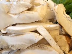 -野菌皇海景野生菌火锅(滨海大道店)