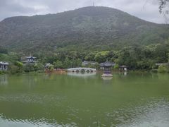 -黑龙潭公园