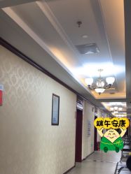 -南京医科大学友谊整形外科医院