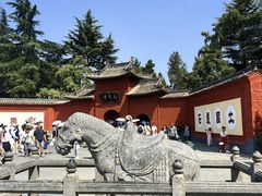 -洛阳白马寺