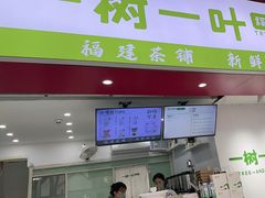 -一树一叶·福建茶档(石鼓路店)