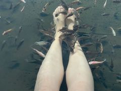 -溧阳天目湖天沐温泉