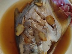 -田螺阿姨自营月嫂·育儿嫂(高新店)