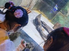 -华夏文旅西安度假区