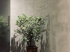 -二酉书店TOYOU BOOKS