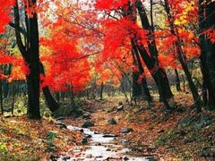 -吉林市朱雀山国家森林公园