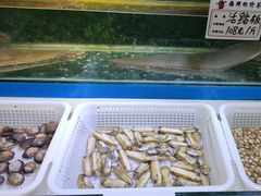 -王府酒店(兴华南街铁西百货店)