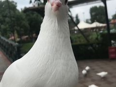 -国色天乡三期陆地乐园