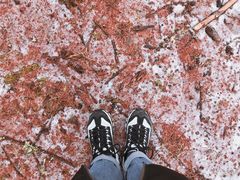 -硗碛藏寨·神木垒景区