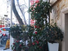 -百姓康洁洗浴(红桥店)