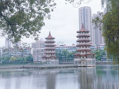 -宝岛公园