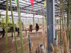 -呀路古热带植物园