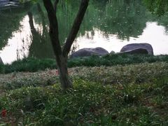 -杭州黄龙洞