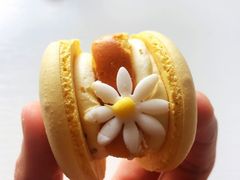 半熟花花马卡龙桂花半熟芝士味-好利来(幸福一家店)