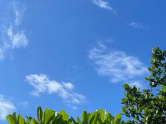 -深圳湾公园(南山区)