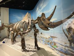 -国家自然博物馆