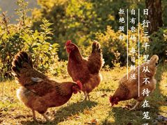 -一席地·本地鸡窝·杭帮鸡火锅(萧山银隆百货店)