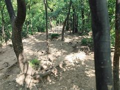 -紫金山山顶公园