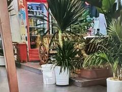 -白家寨子·山野白族菜(古城总店)