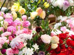 -卓花境Flowerwonderland花店