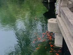 -东山雕花楼