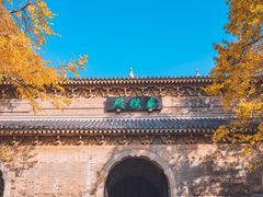 -灵谷景区