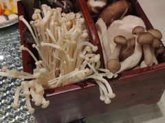 -湊湊火锅·茶憩(新中关购物中心店)