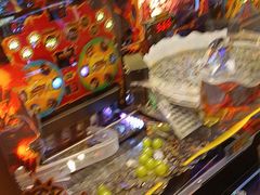 -汤姆熊欢乐世界(大连恒隆广场店)
