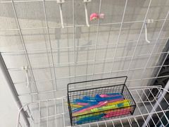 -小菜园新徽菜(苏州繁花中心店)
